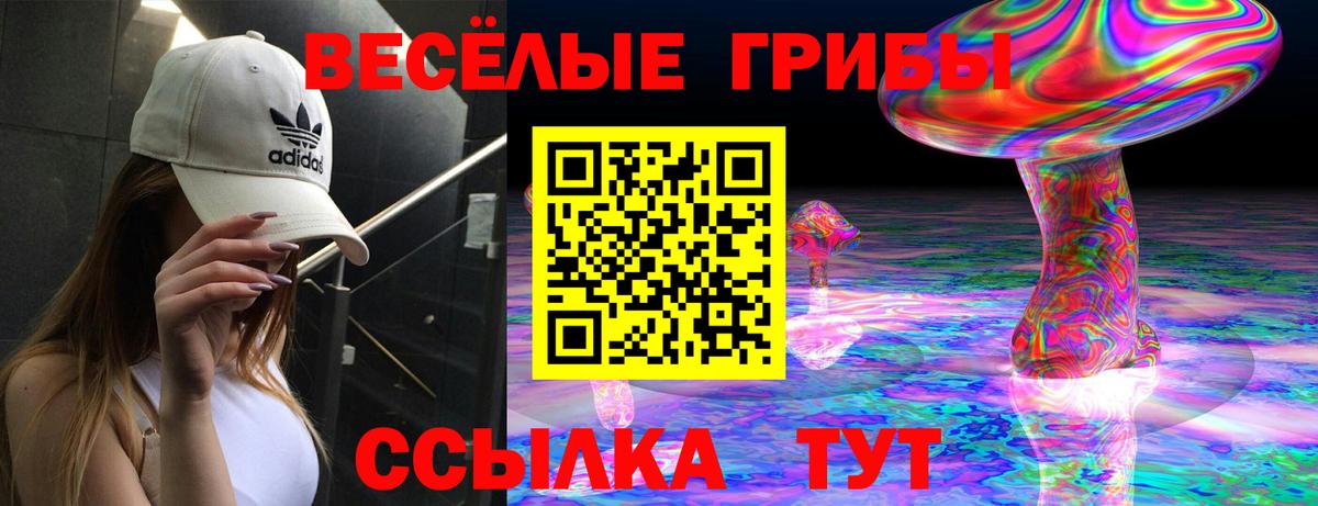 Псилоцибиновые грибы мицелий Екатеринбург