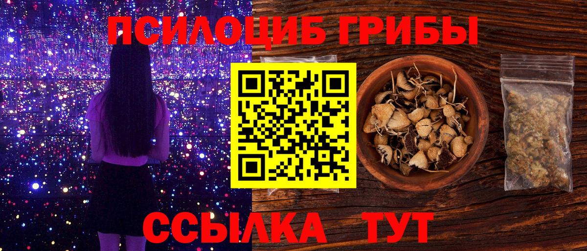 Псилоцибиновые грибы мухоморы  магазин продажи   Вход с VPN  Екатеринбург  Псилоцибиновые грибы мицелий 